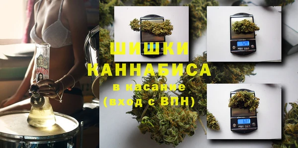 Альфа ПВП Алзамай